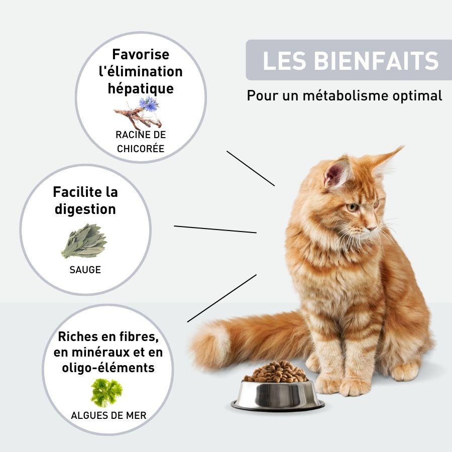 Croquettes Chat spécial stérilisé - 1kg