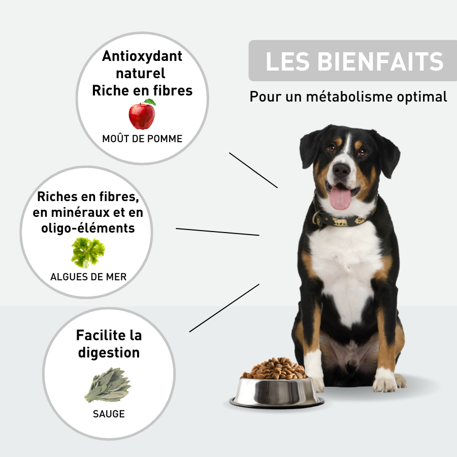 Croquettes chien spécial stérilisé surpoids - 2.5kg