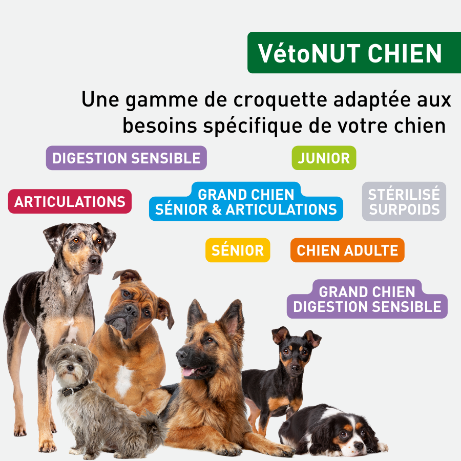 Vetonut - Verre doseur pour croquettes chiens et chats