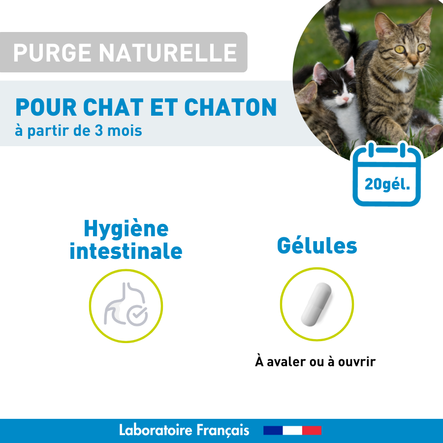 Purge naturelle Chat et chaton - 20 gélules