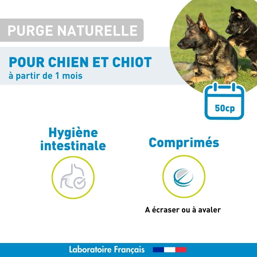 Purge naturelle chien et chiot - 50 cp