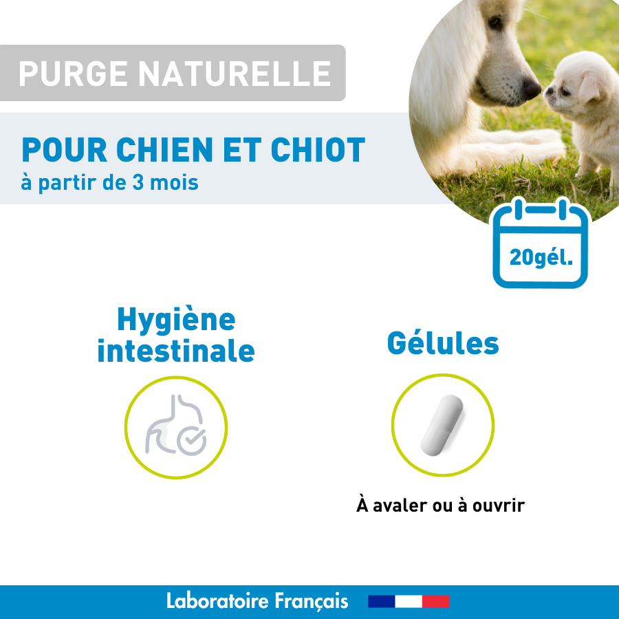 Purge naturelle Chien et Chiot - 20 gélules