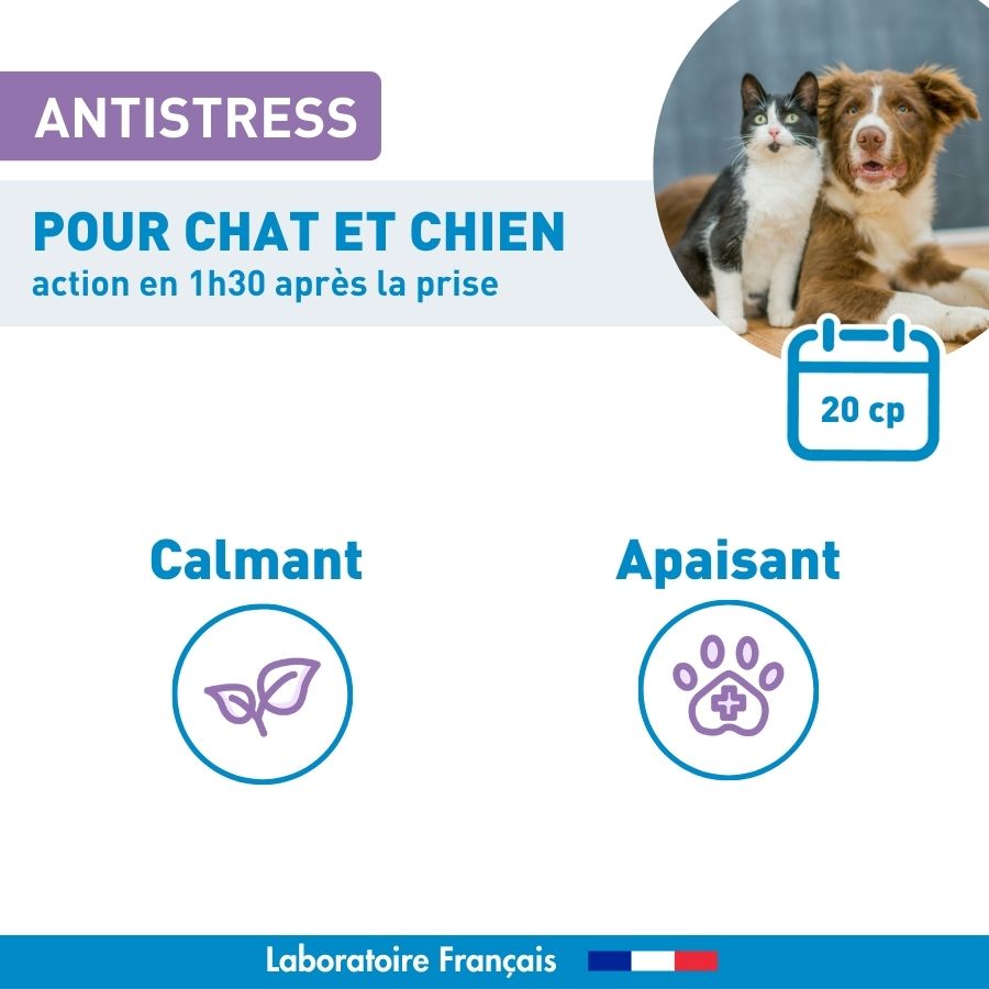 Calmant Anti-stress chien et chat - 20 cp