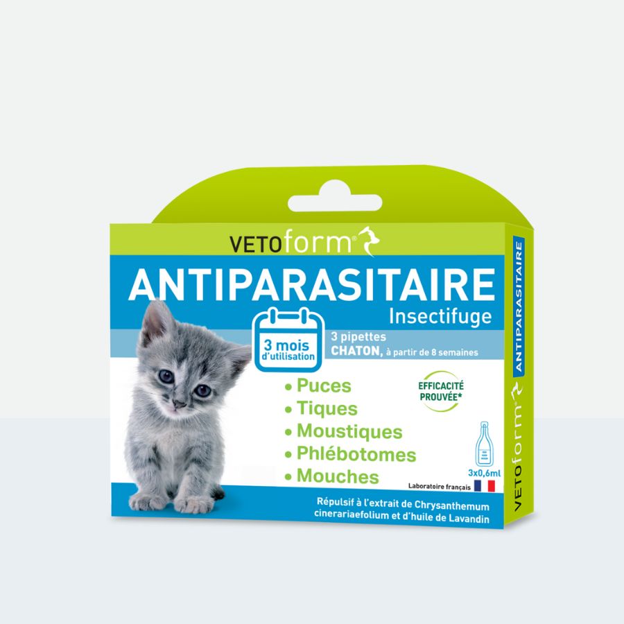 Antiparasitaire chaton - 3 pipettes