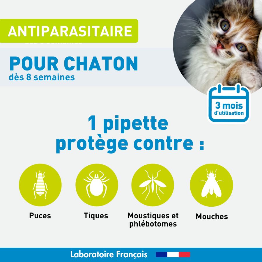 Antiparasitaire chaton - 3 pipettes