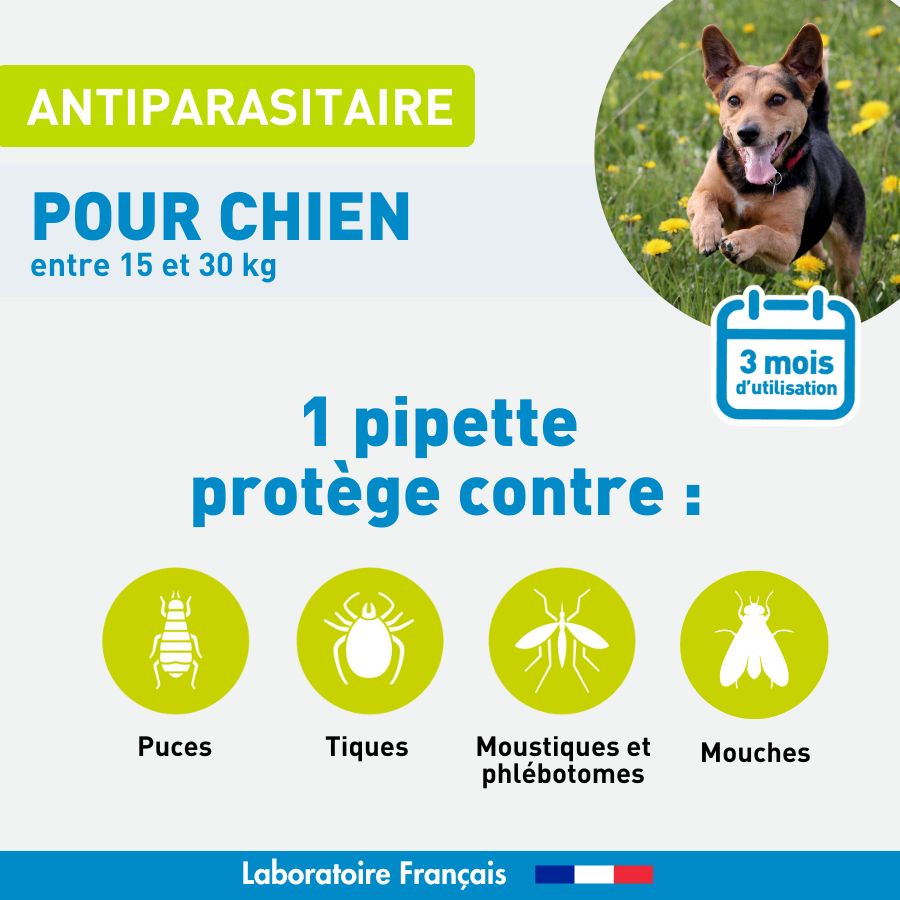 Antiparasitaire chien moyen - 3 pipettes