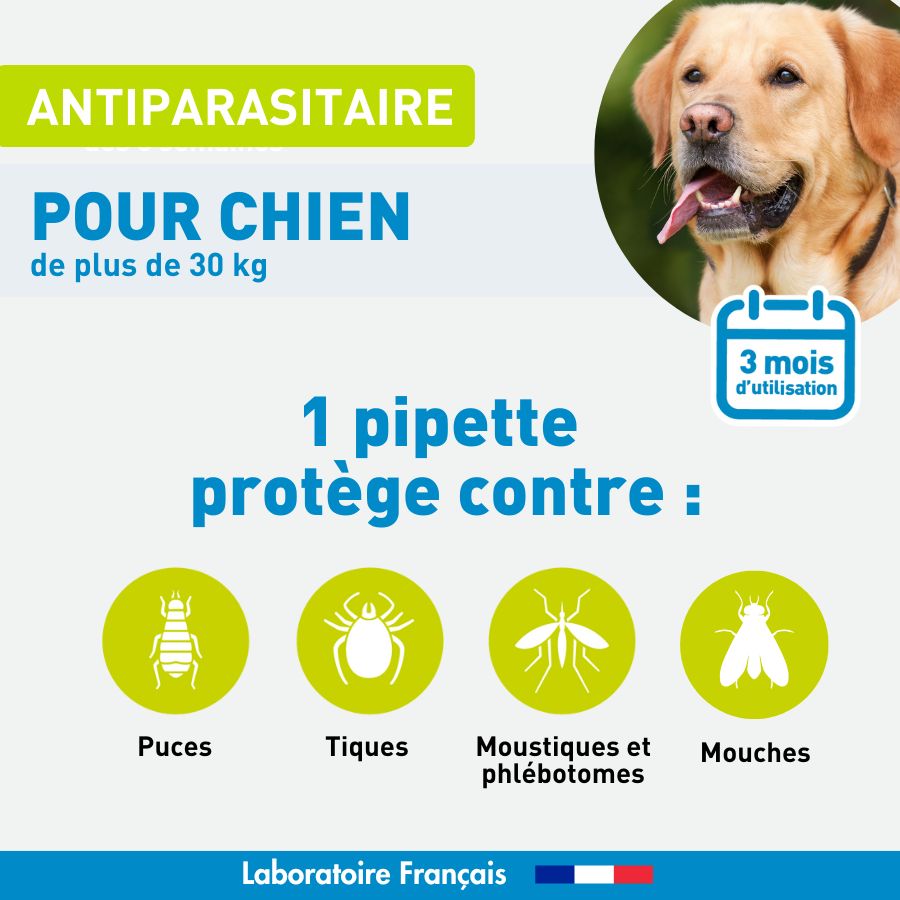 Antiparasitaire Grand chien - 6 pipettes