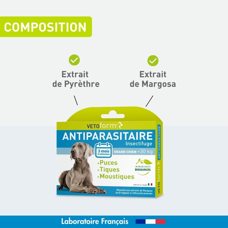 Antiparasitaire Grand chien - 6 pipettes