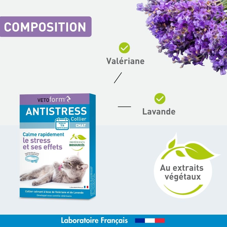 Antistress collier - Valériane & Lavande - Chat - VETOFORM