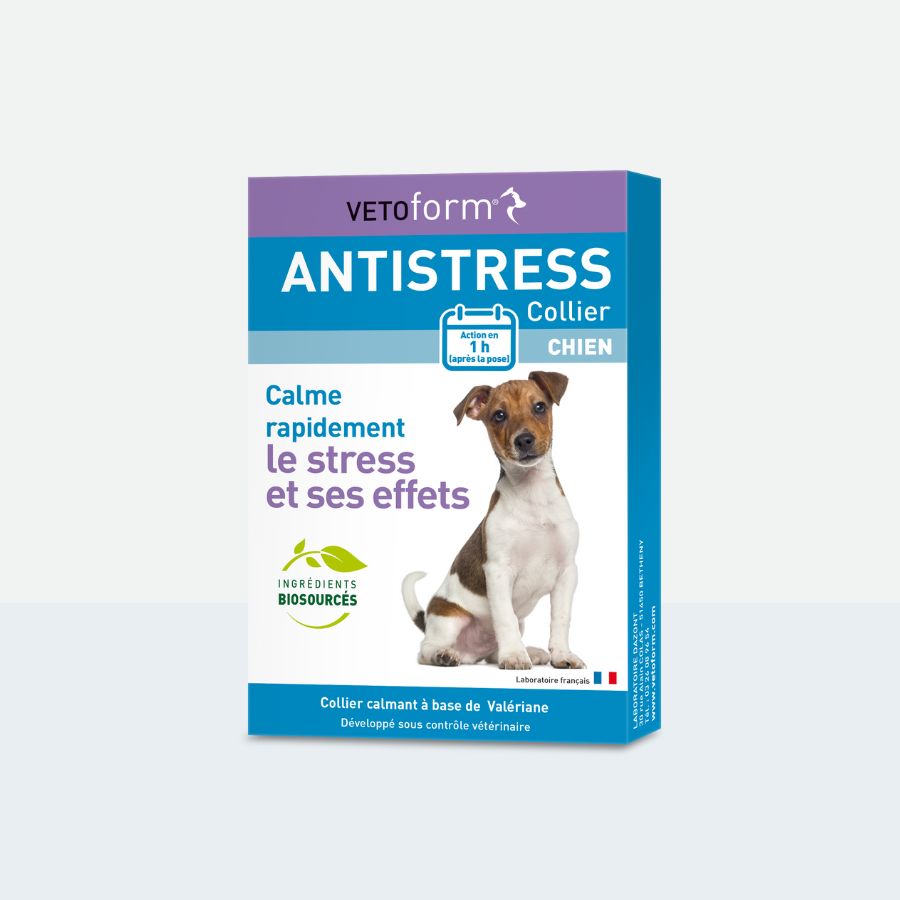 Calmant Anti-stress chien - 1 collier