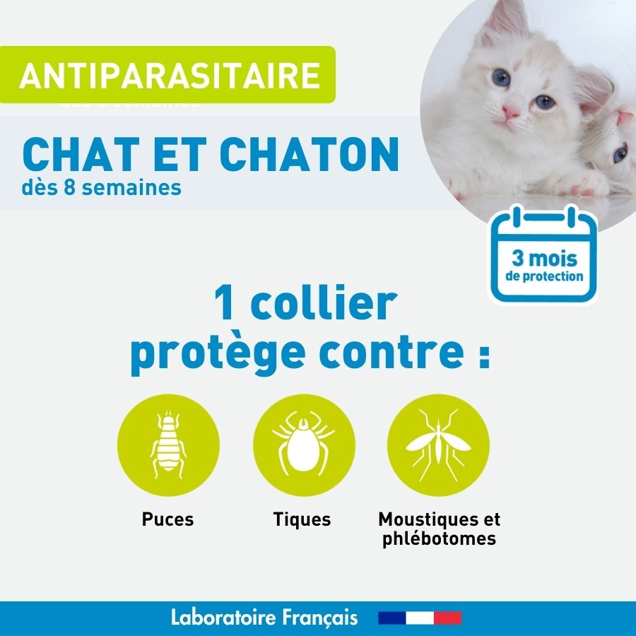 Antiparasitaire Chat et Chaton - 1 Collier