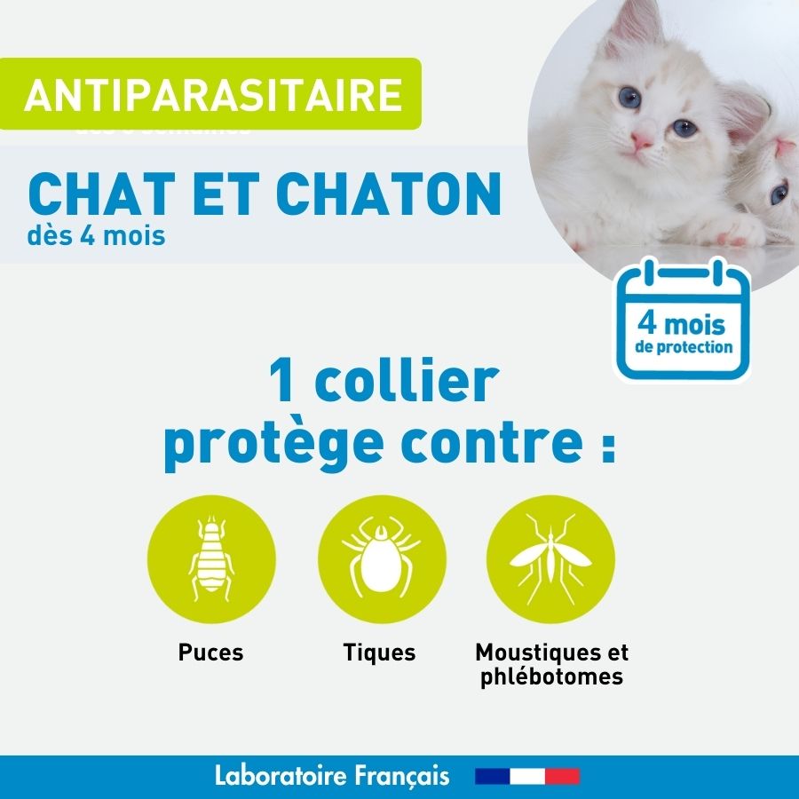 Antiparasitaire Chat et Chaton - 1 Collier