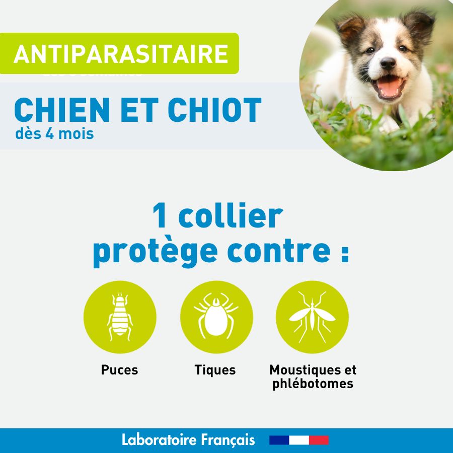 Antiparasitaire chien et chiot - 1 Collier