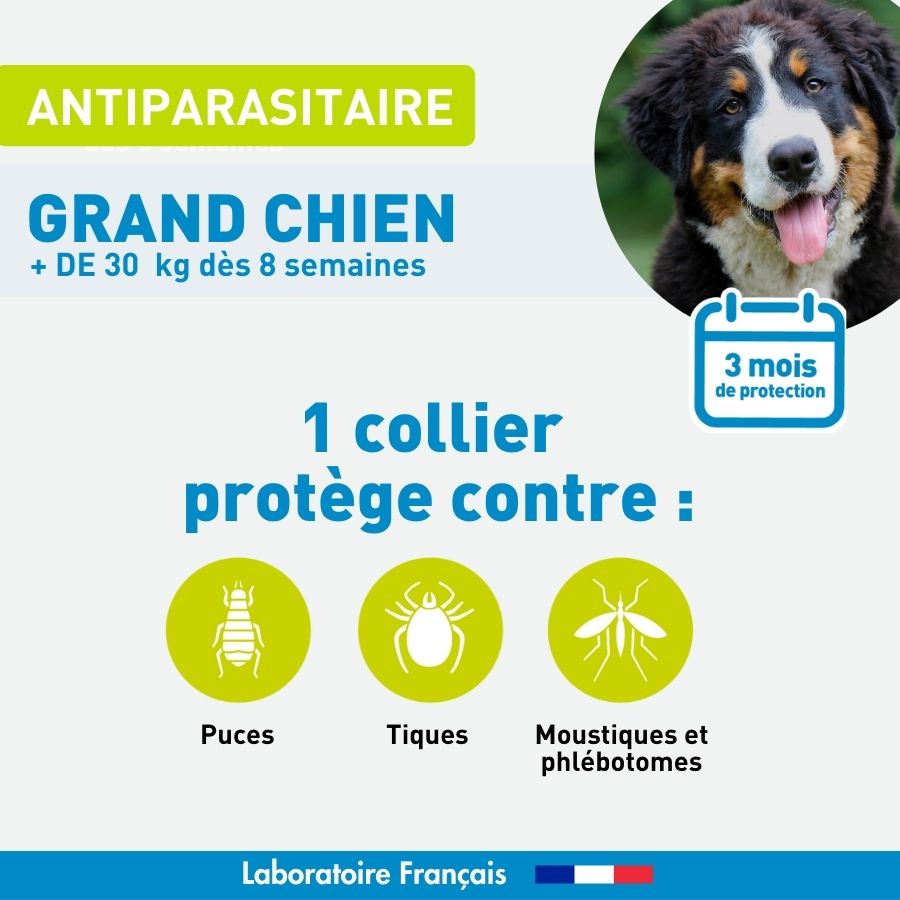 Antiparasitaire Grand chien - 1 Collier
