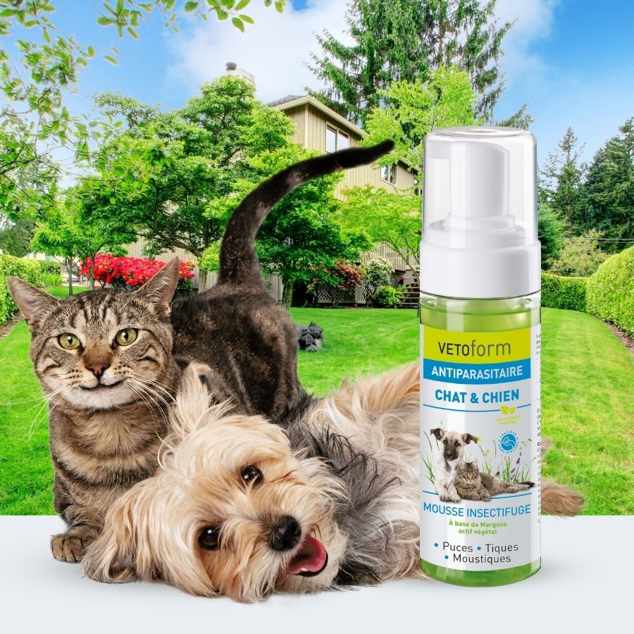 Beaphar Vetopure Mousse Antiparasitaire pour Chat - 150 ml