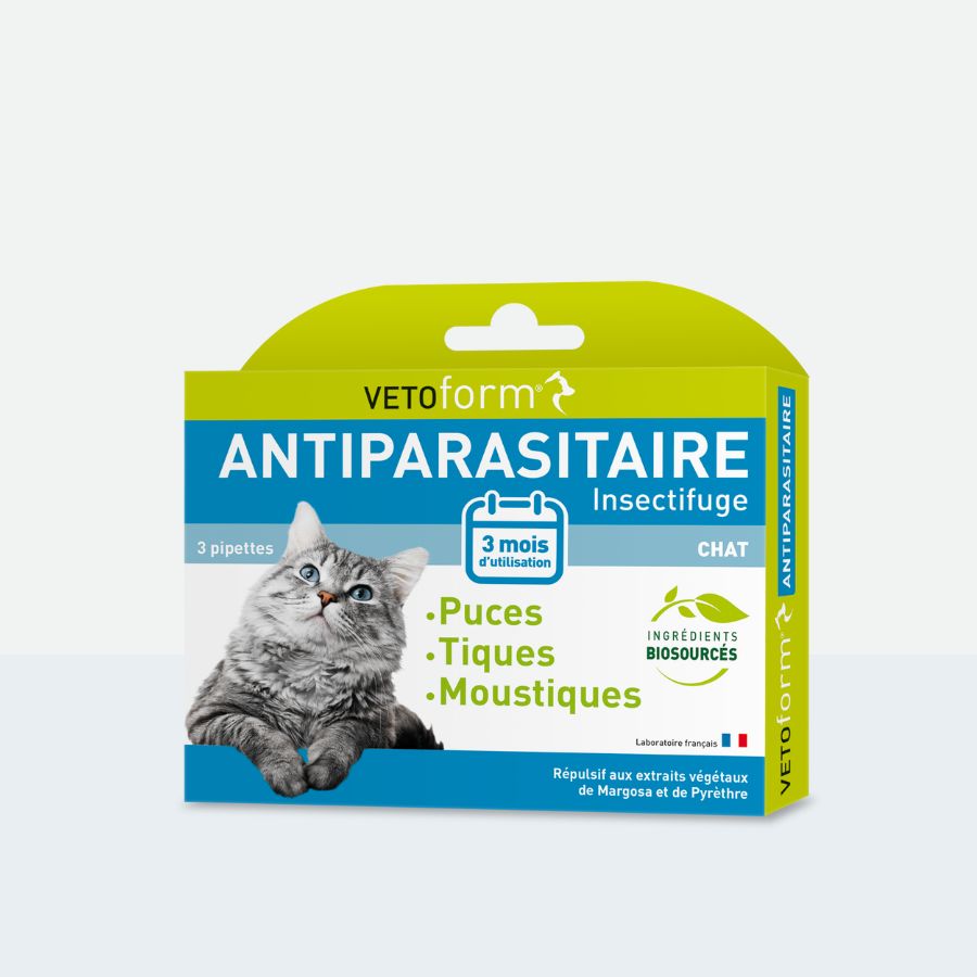 Antiparasitaire chat - 3 pipettes