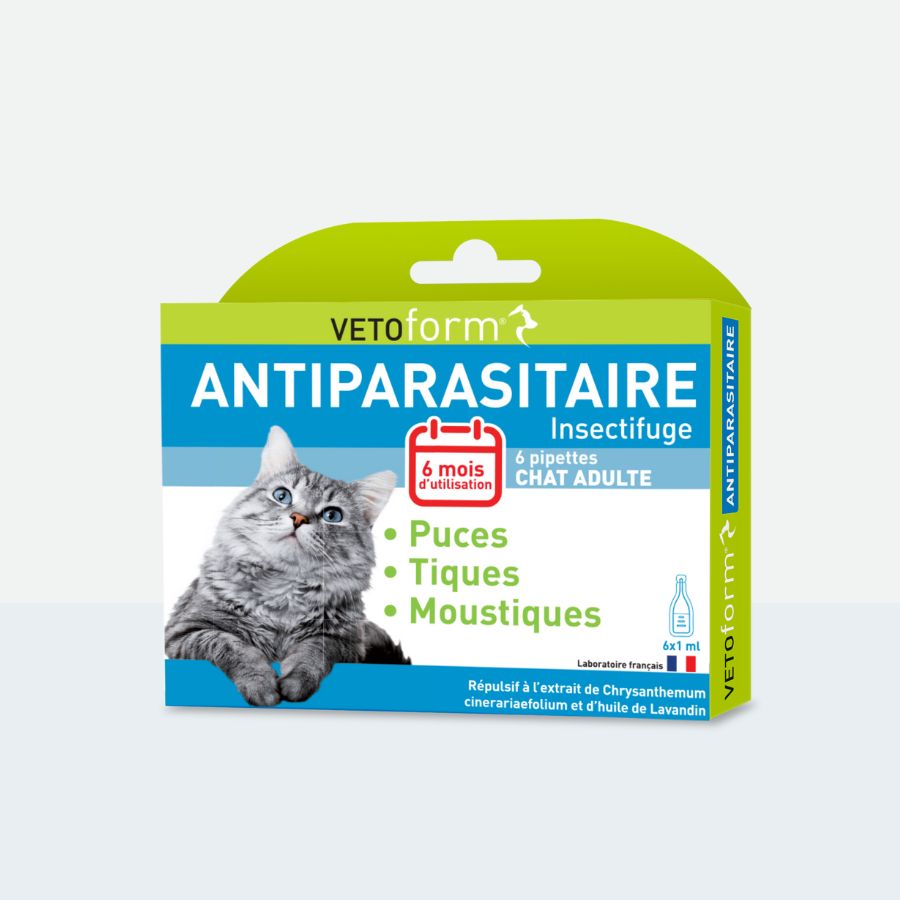 Antiparasitaire chat - 6 pipettes