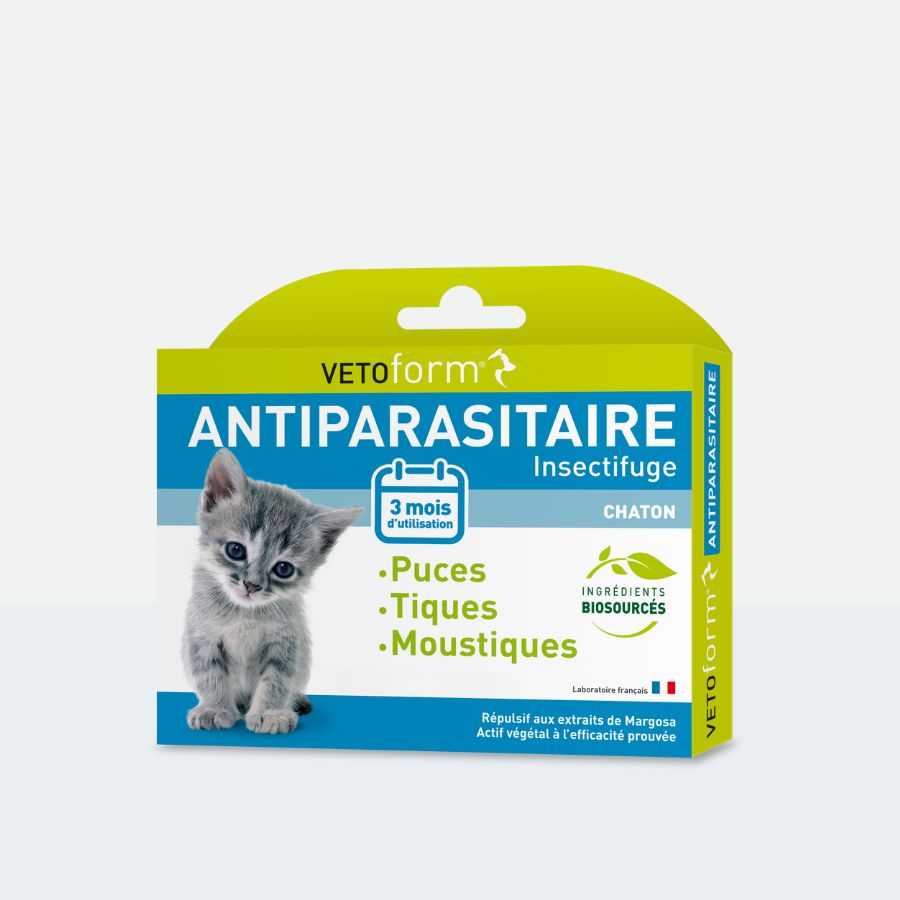 Antiparasitaire chaton - 3 pipettes