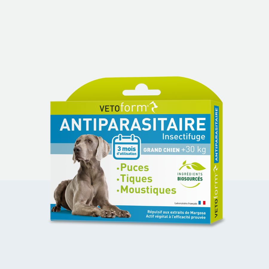 Antiparasitaire Grand chien - 6 pipettes