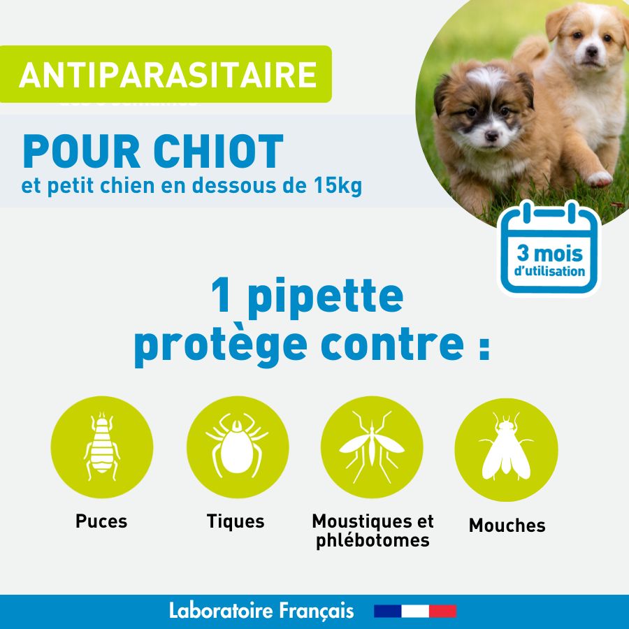 Antiparasitaire petit chien et chiot - 3 pipettes